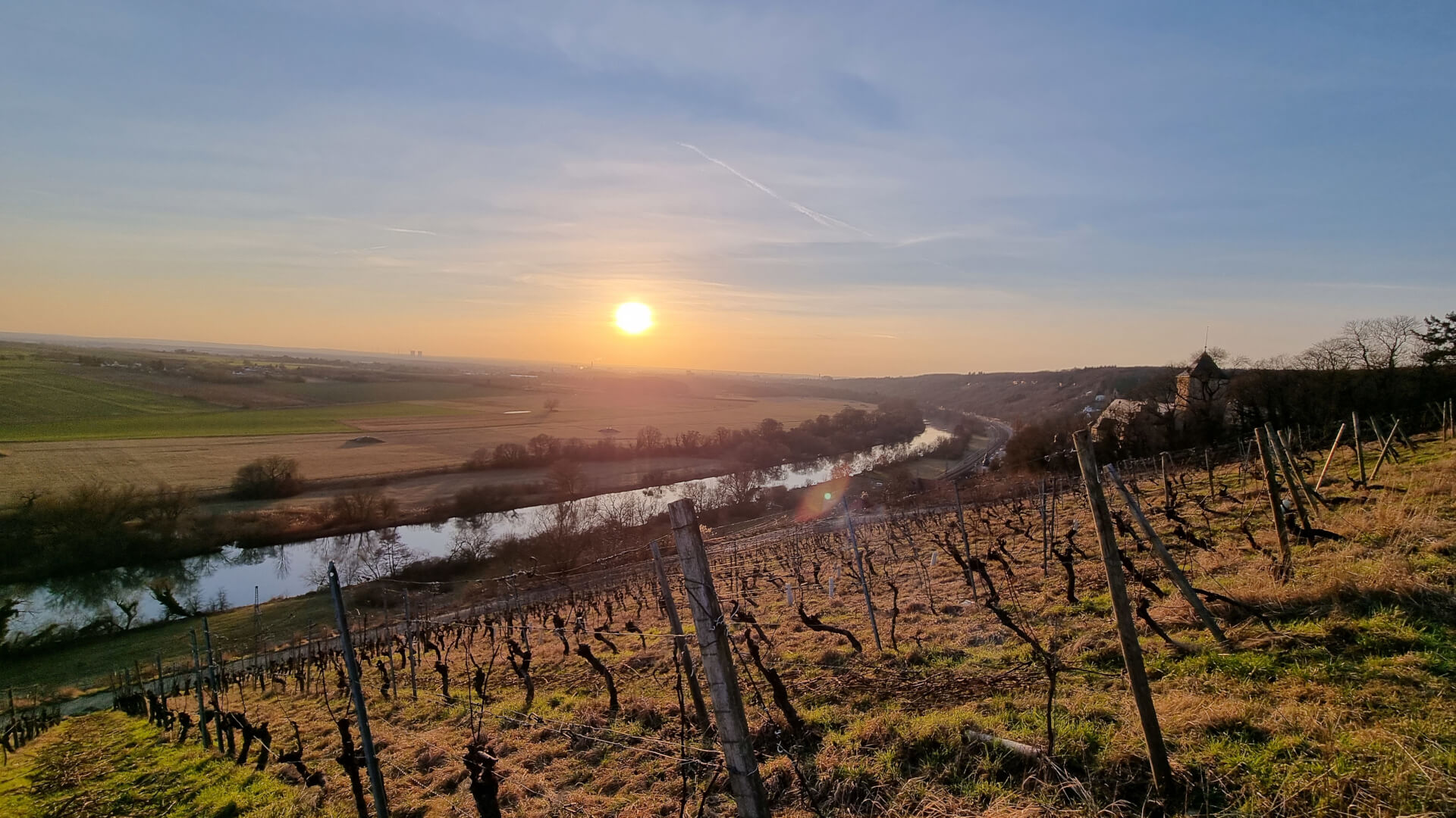 Weinberge bei Schloss Mainberg am Main im Sonnenuntergang